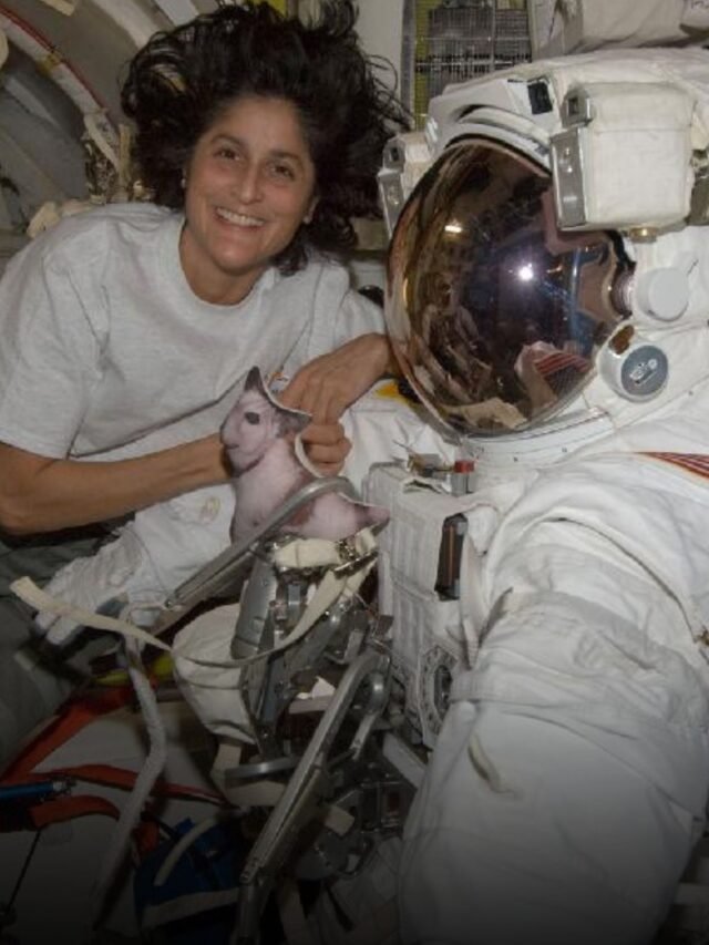 sunita williams